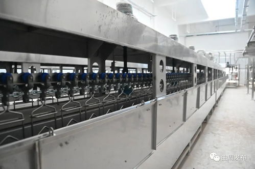 河北最大禽肉食品加工工廠即將投產相關資訊 邯鄲河北最大禽肉食品加工工廠即將投產相關資訊