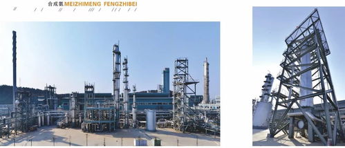 中國化工報聚焦四川美豐，一項關鍵工藝通過科技成果鑒定