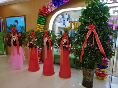 齊齊哈爾市金色雨林開業慶典圓滿成功，專業服務鑄就輝煌時刻